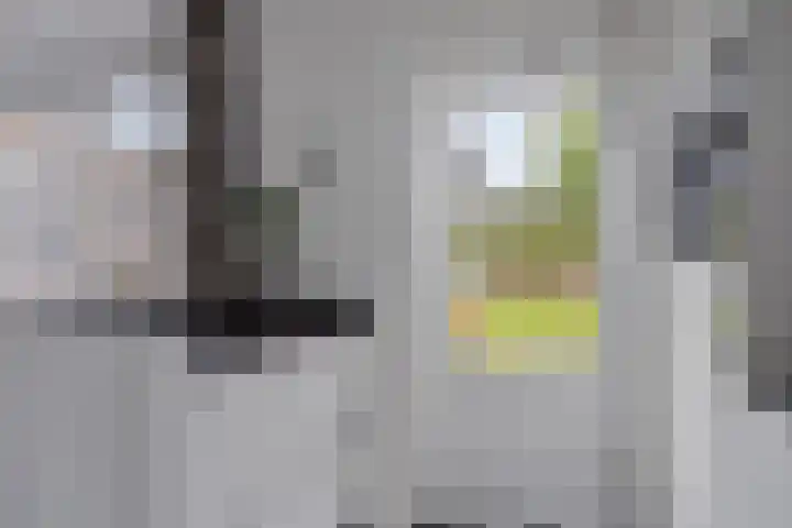 Bovenhei 38 Veldhoven thumbnail 8