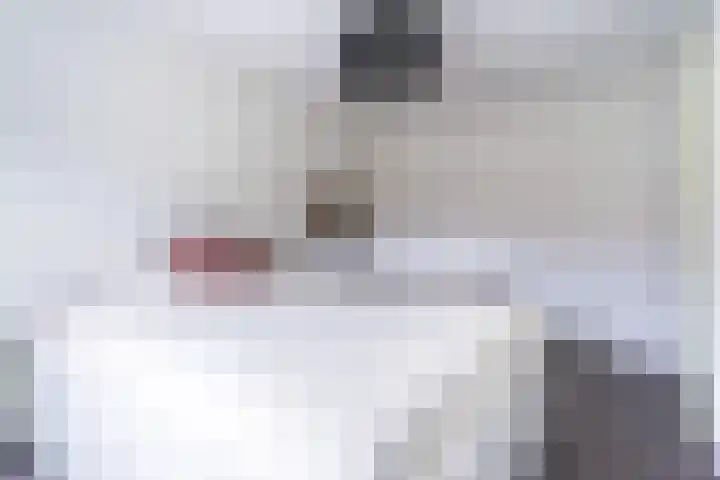 Bovenhei 39 Veldhoven thumbnail 20