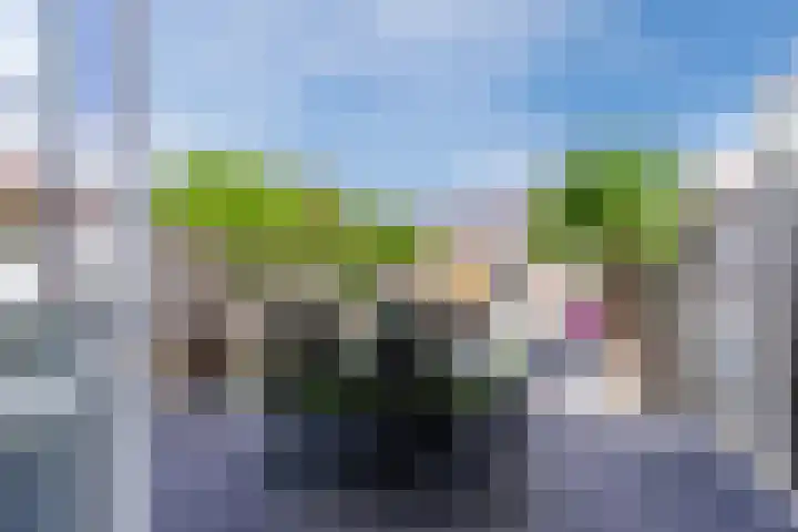 Bovenhei 39 Veldhoven thumbnail 29
