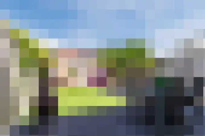 Bovenhei 39 Veldhoven thumbnail 30