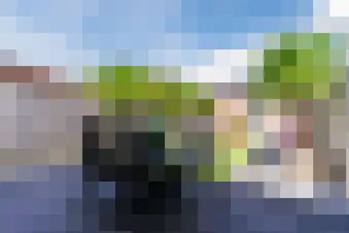 Bovenhei 39 Veldhoven thumbnail 31