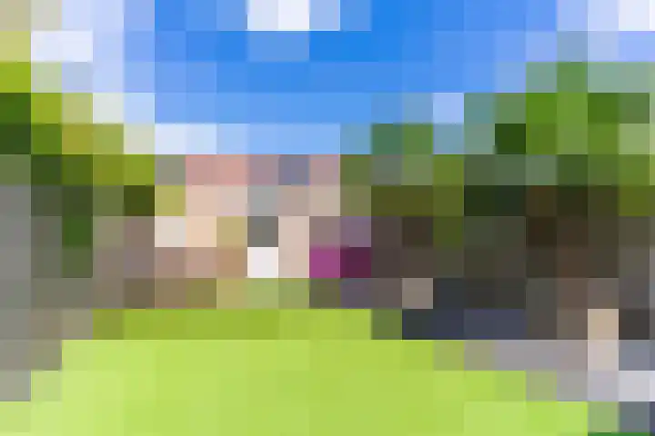 Bovenhei 39 Veldhoven thumbnail 32