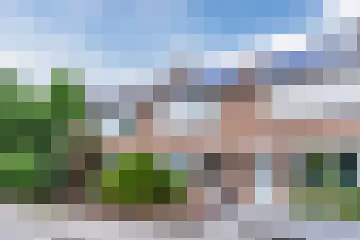 Bovenhei 39 Veldhoven thumbnail 36