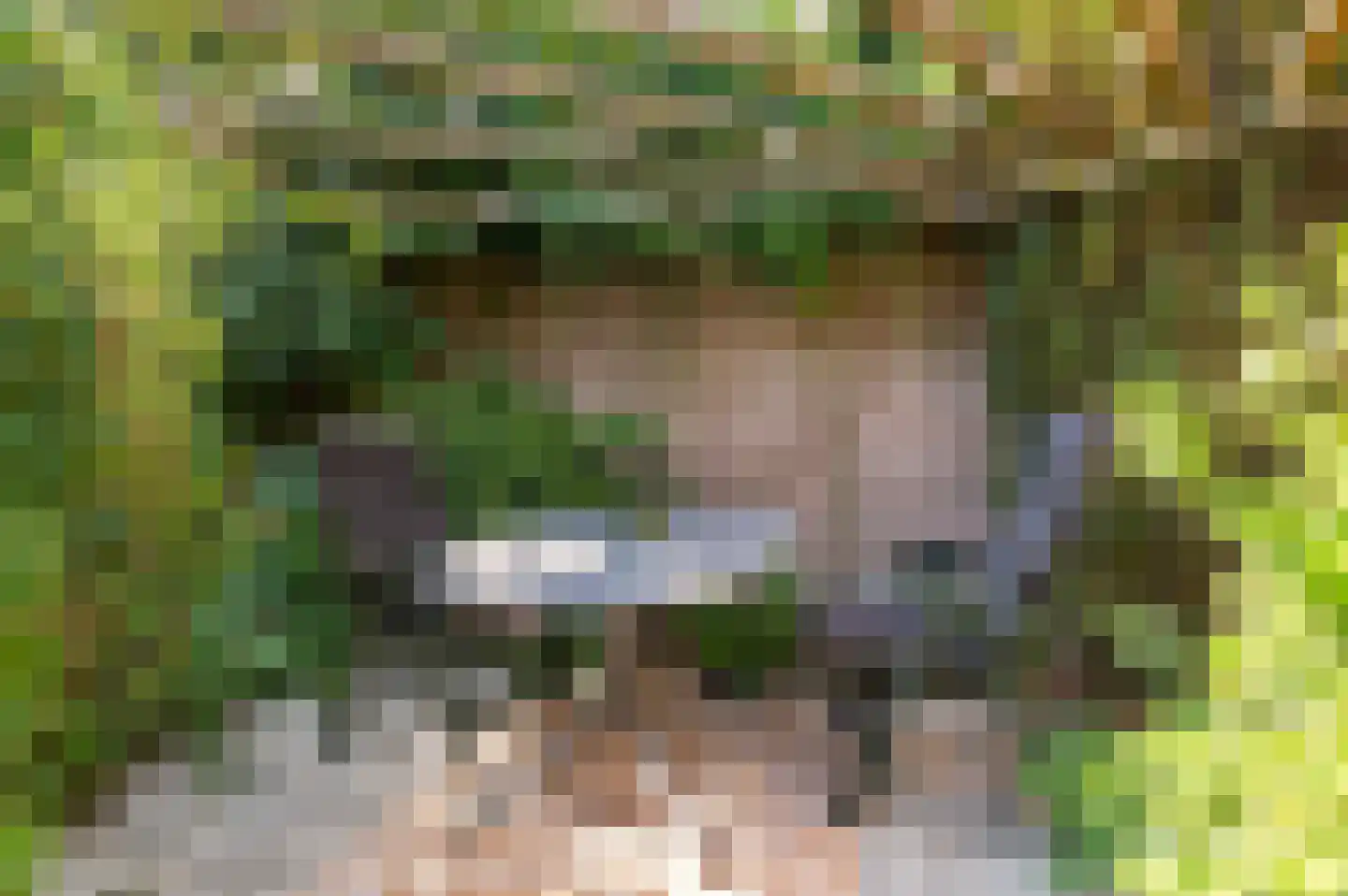 Bovenhei 90 Veldhoven thumbnail 39