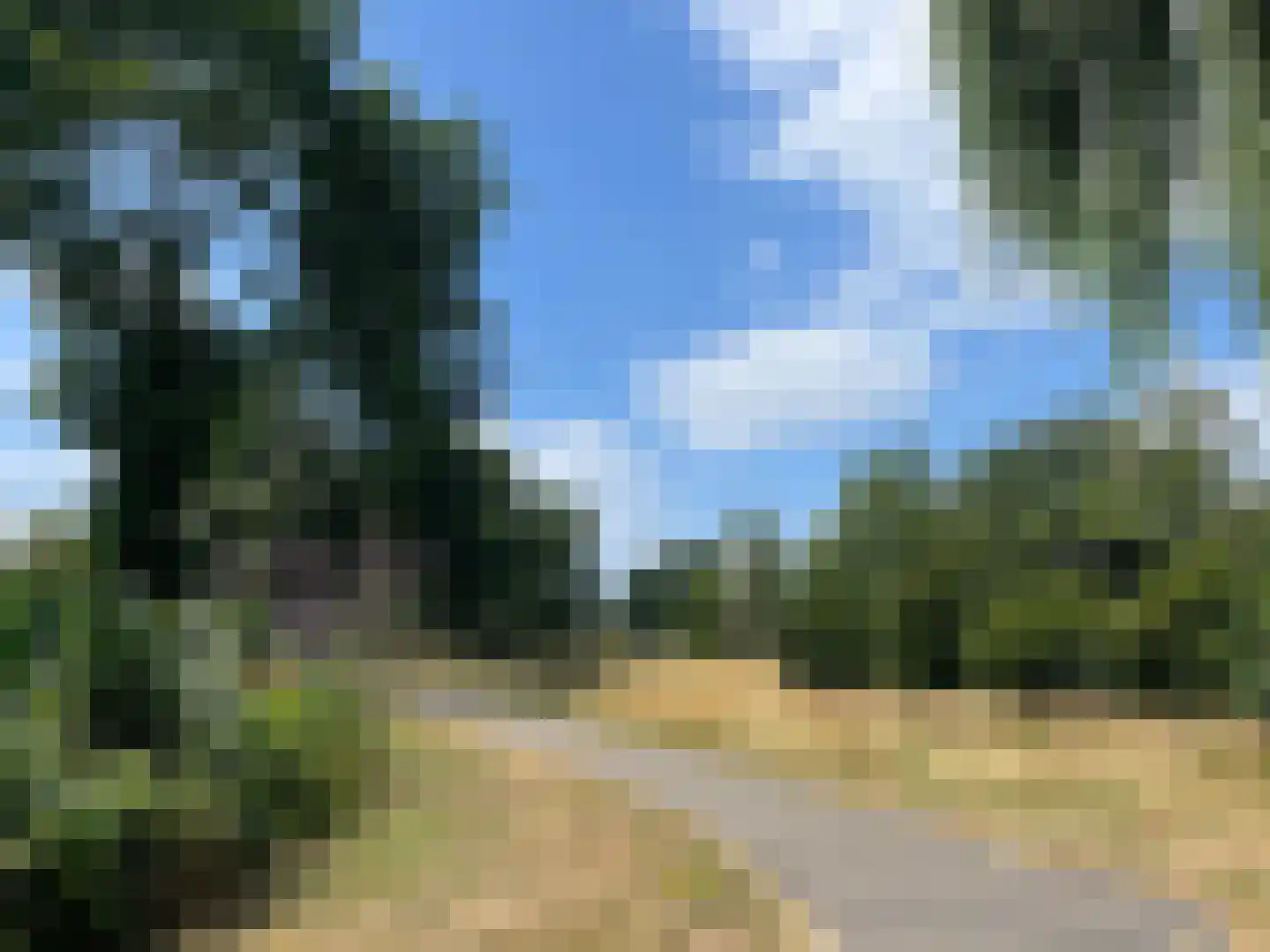 Bovenhei 90 Veldhoven thumbnail 50