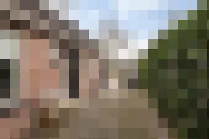 Bovenheigraaf 118 A 't Loo Oldebroek thumbnail 6