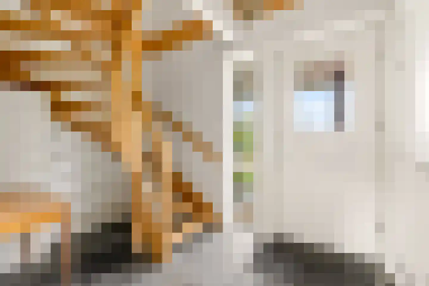 Bovenheigraaf 144 Wezep thumbnail 10