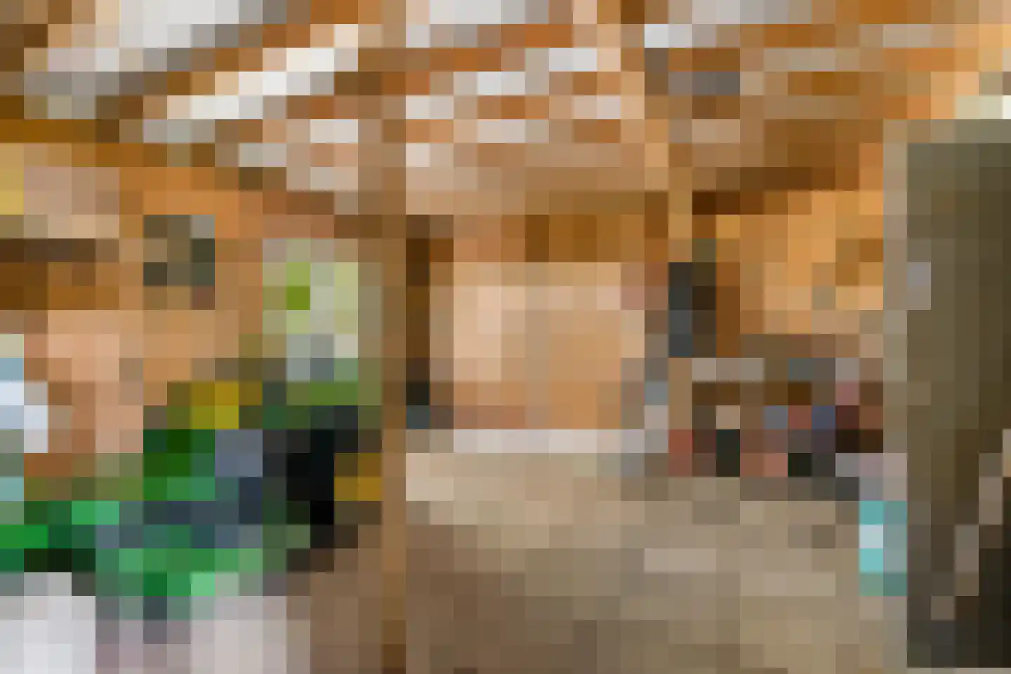 Bovenheigraaf 144 Wezep thumbnail 101