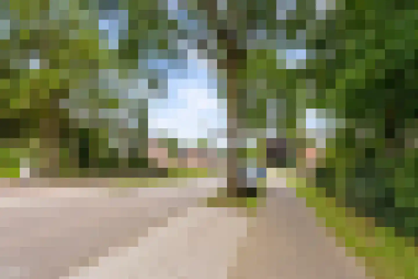 Bovenheigraaf 144 Wezep thumbnail 102