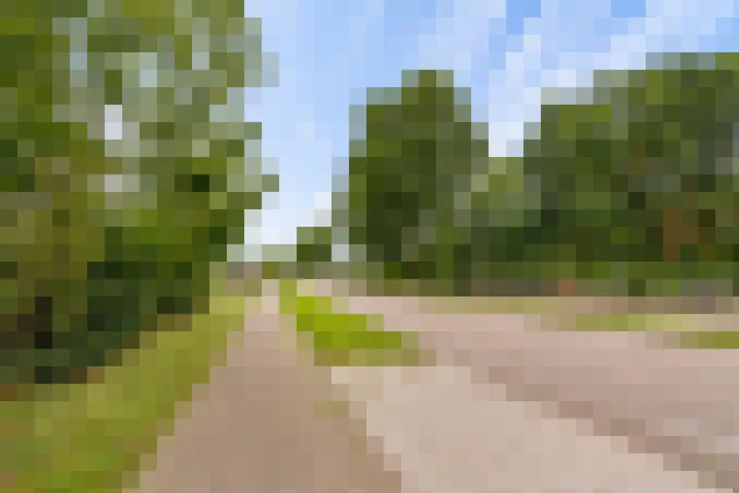 Bovenheigraaf 144 Wezep thumbnail 103