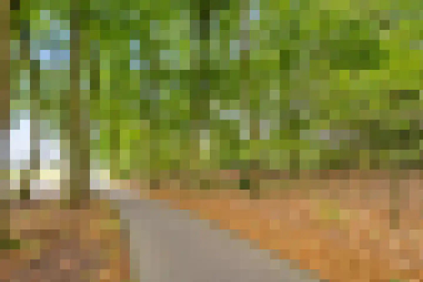 Bovenheigraaf 144 Wezep thumbnail 104