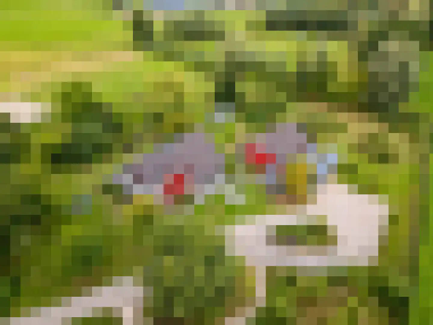 Bovenheigraaf 144 Wezep thumbnail 106