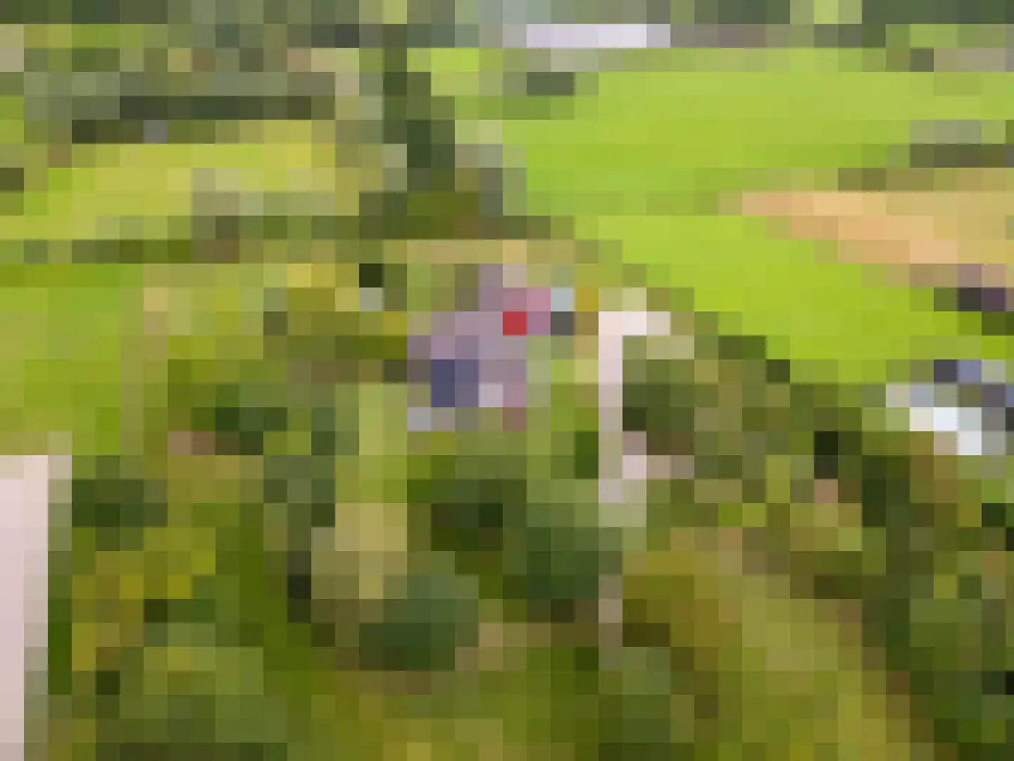 Bovenheigraaf 144 Wezep thumbnail 107
