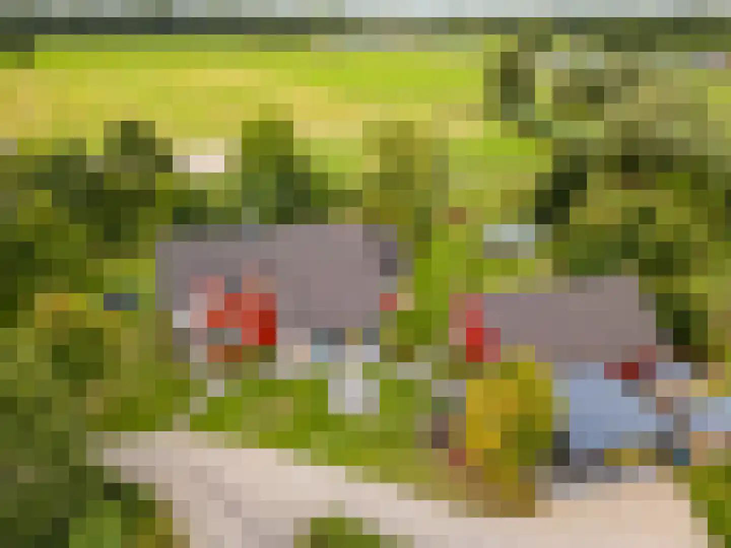 Bovenheigraaf 144 Wezep thumbnail 108