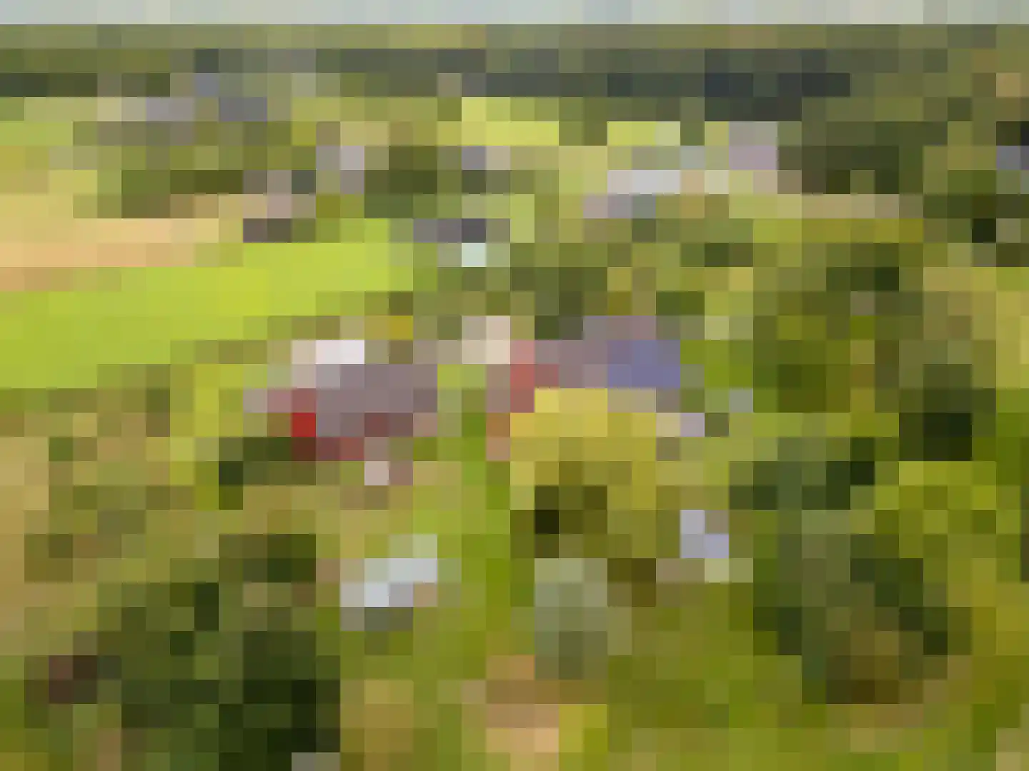 Bovenheigraaf 144 Wezep thumbnail 109
