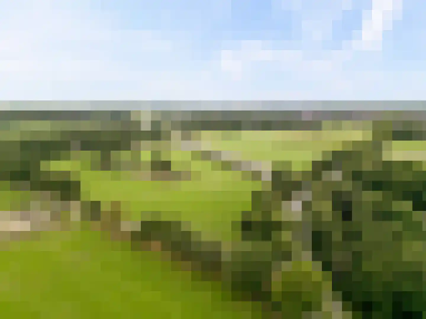 Bovenheigraaf 144 Wezep thumbnail 110