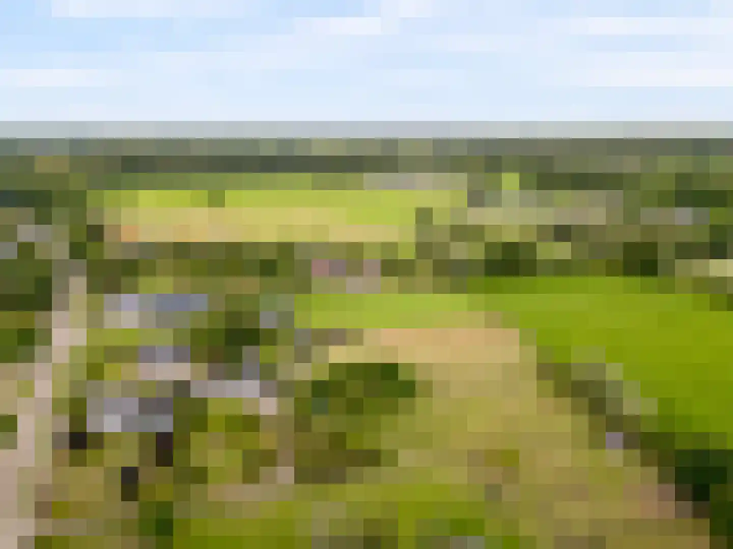 Bovenheigraaf 144 Wezep thumbnail 111