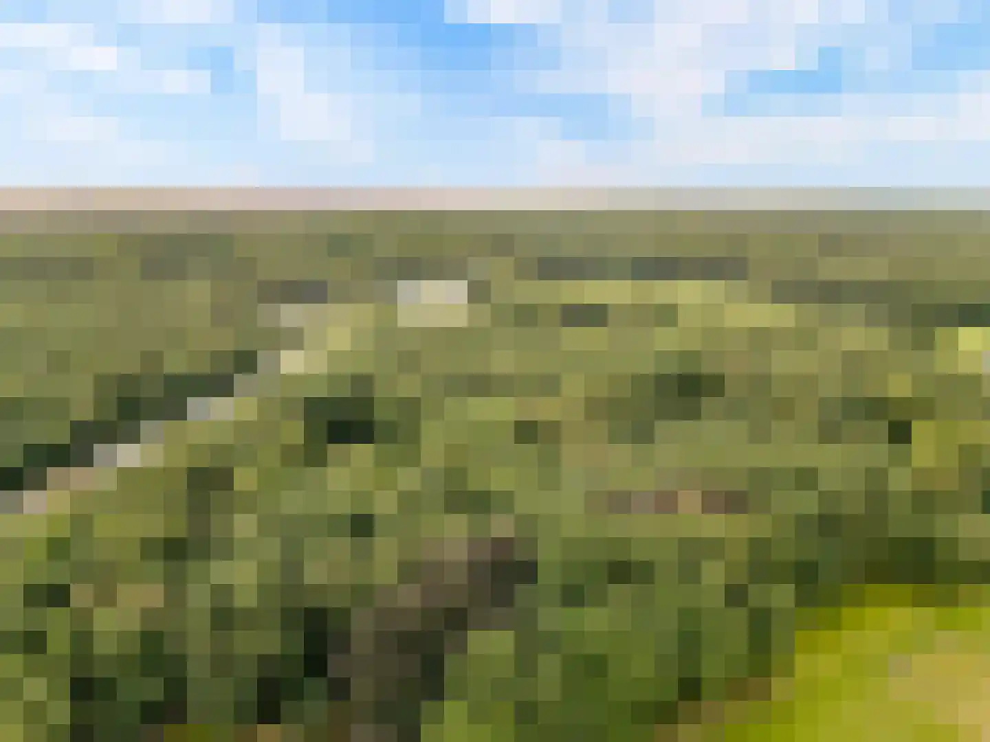 Bovenheigraaf 144 Wezep thumbnail 112