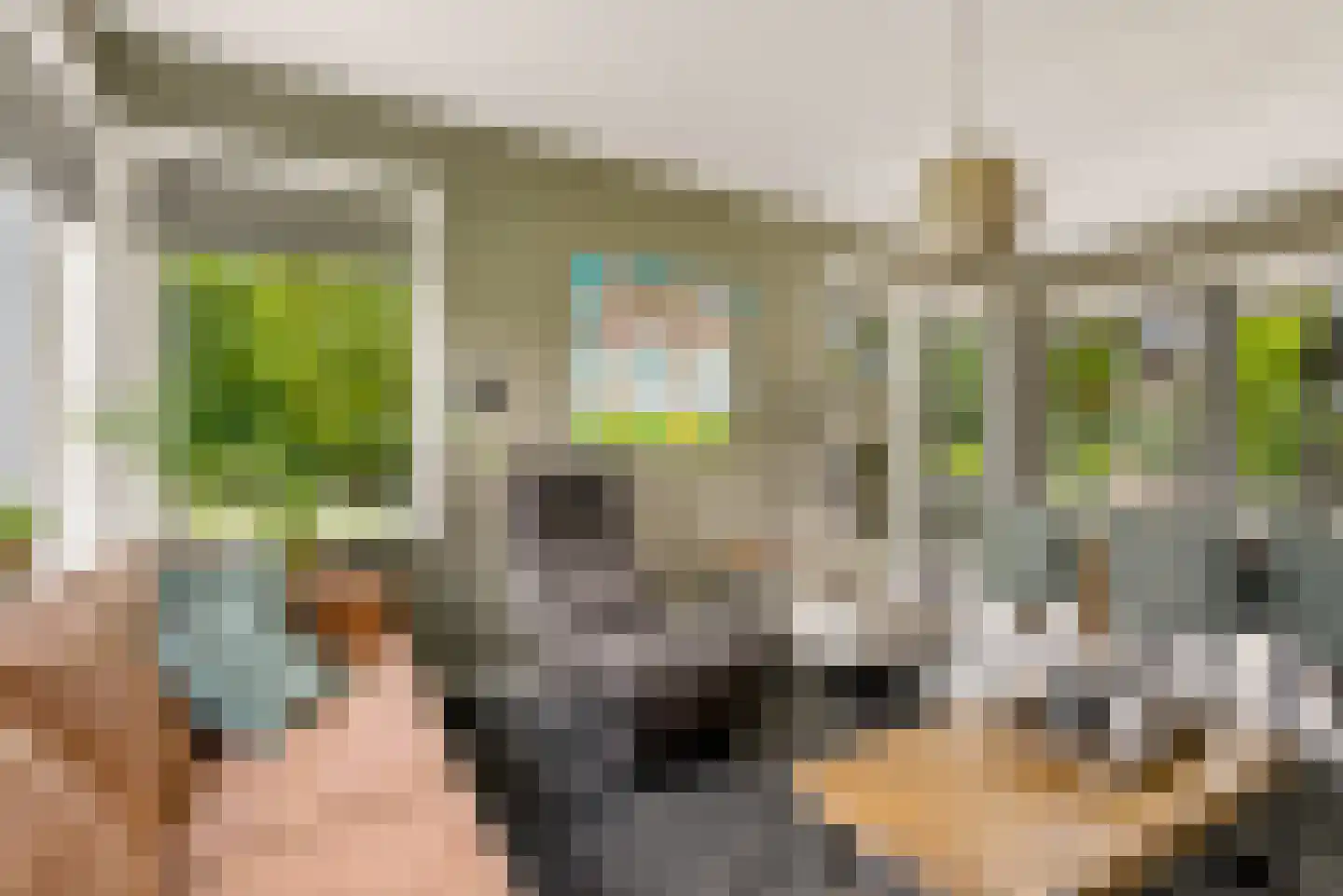 Bovenheigraaf 144 Wezep thumbnail 14