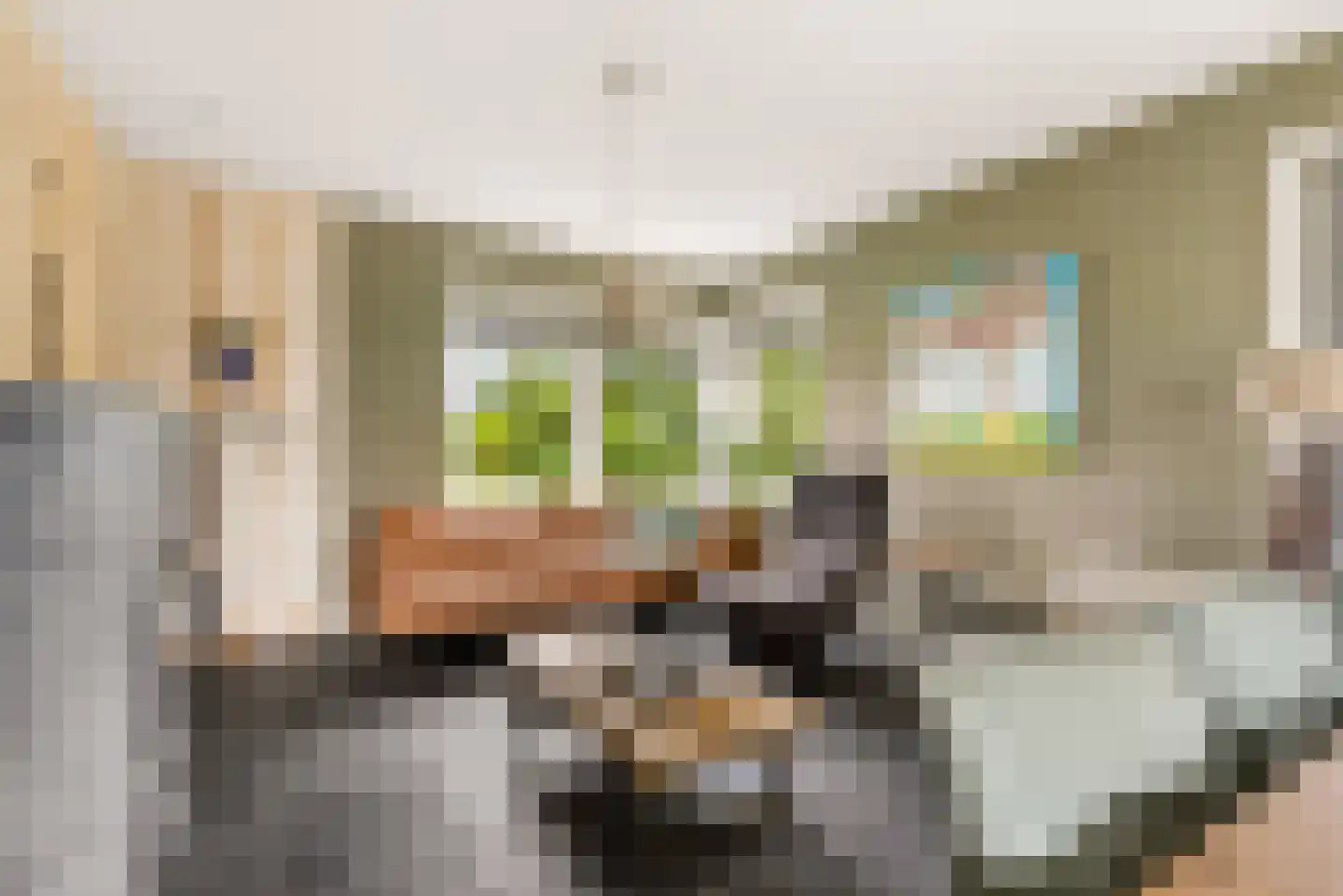Bovenheigraaf 144 Wezep thumbnail 18