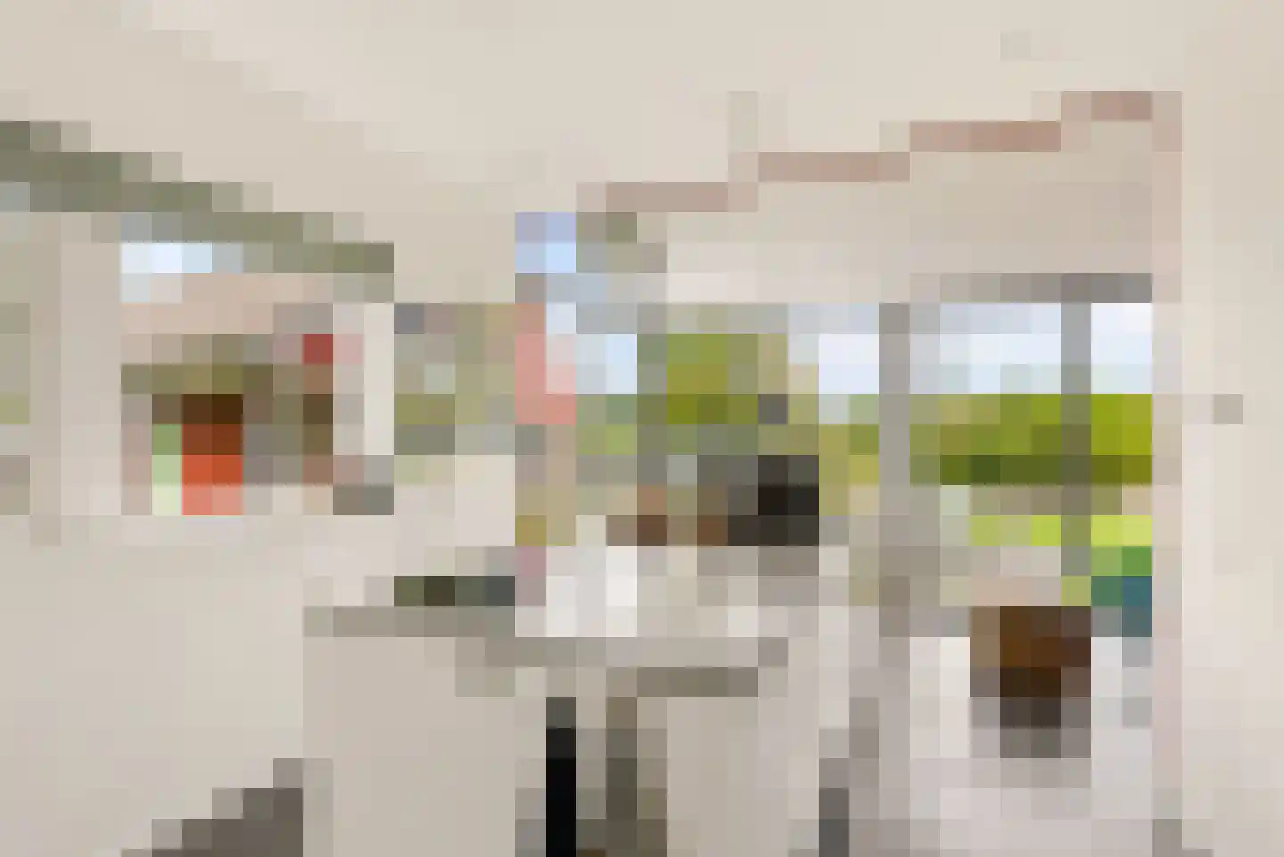 Bovenheigraaf 144 Wezep thumbnail 21