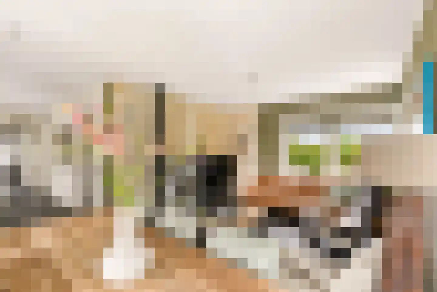 Bovenheigraaf 144 Wezep thumbnail 5