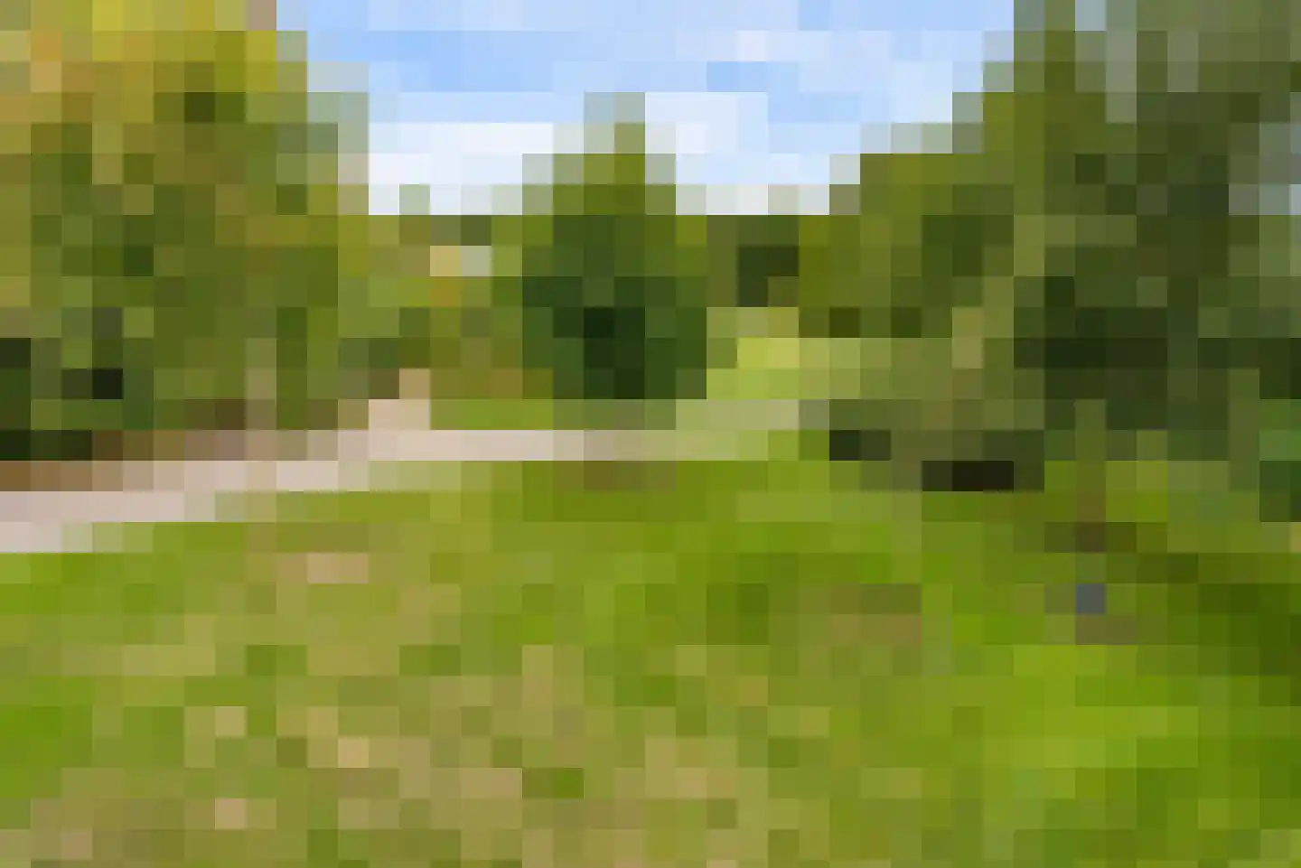Bovenheigraaf 144 Wezep thumbnail 50
