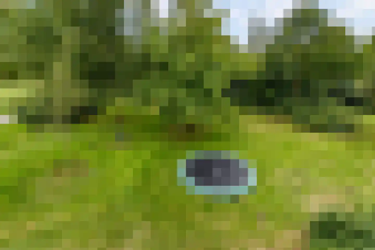 Bovenheigraaf 144 Wezep thumbnail 52