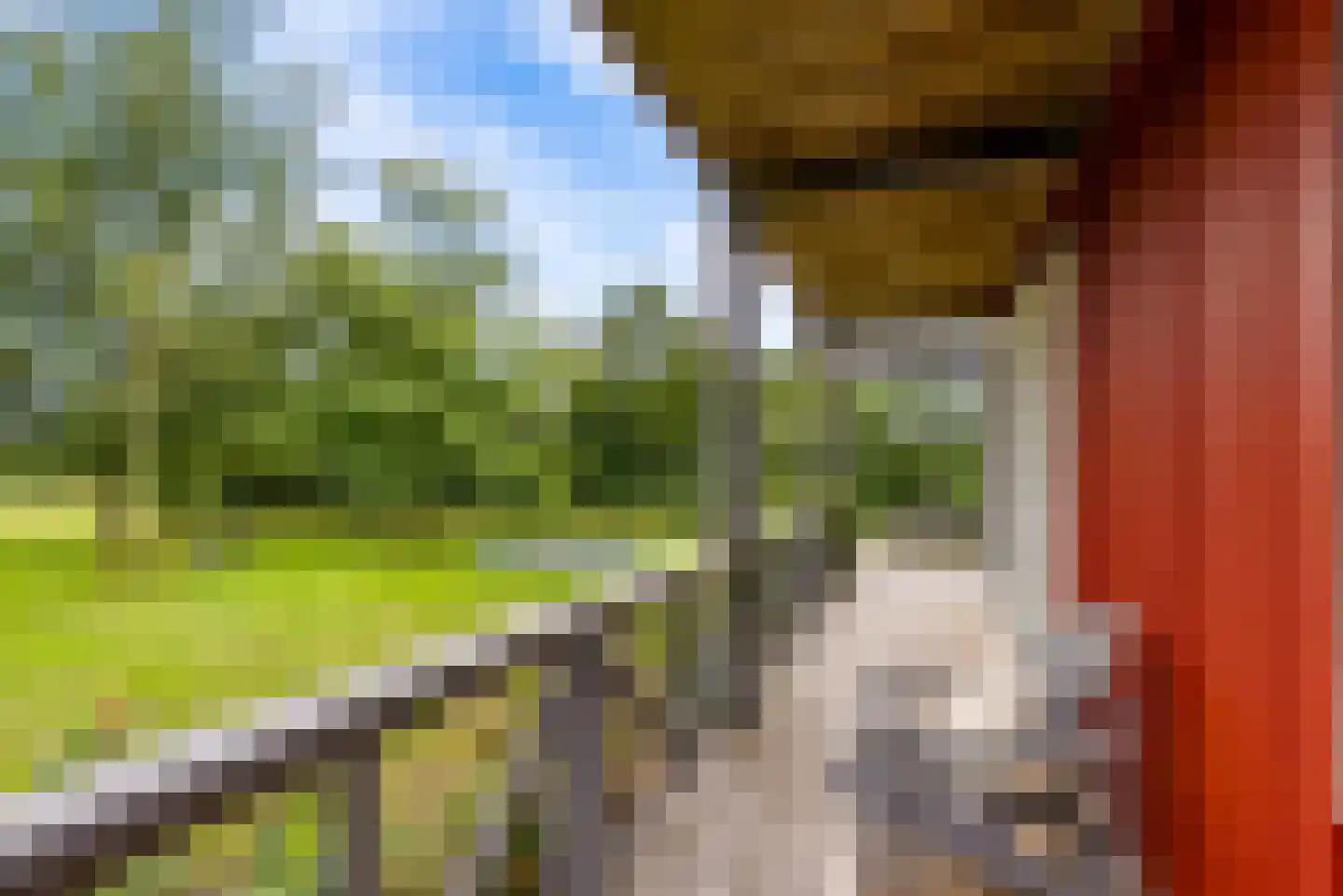 Bovenheigraaf 144 Wezep thumbnail 53