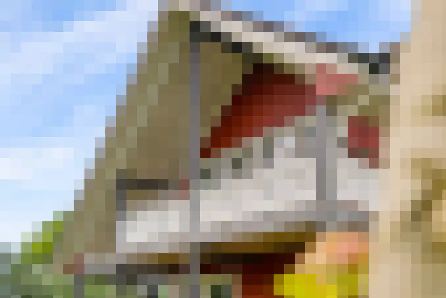 Bovenheigraaf 144 Wezep thumbnail 54