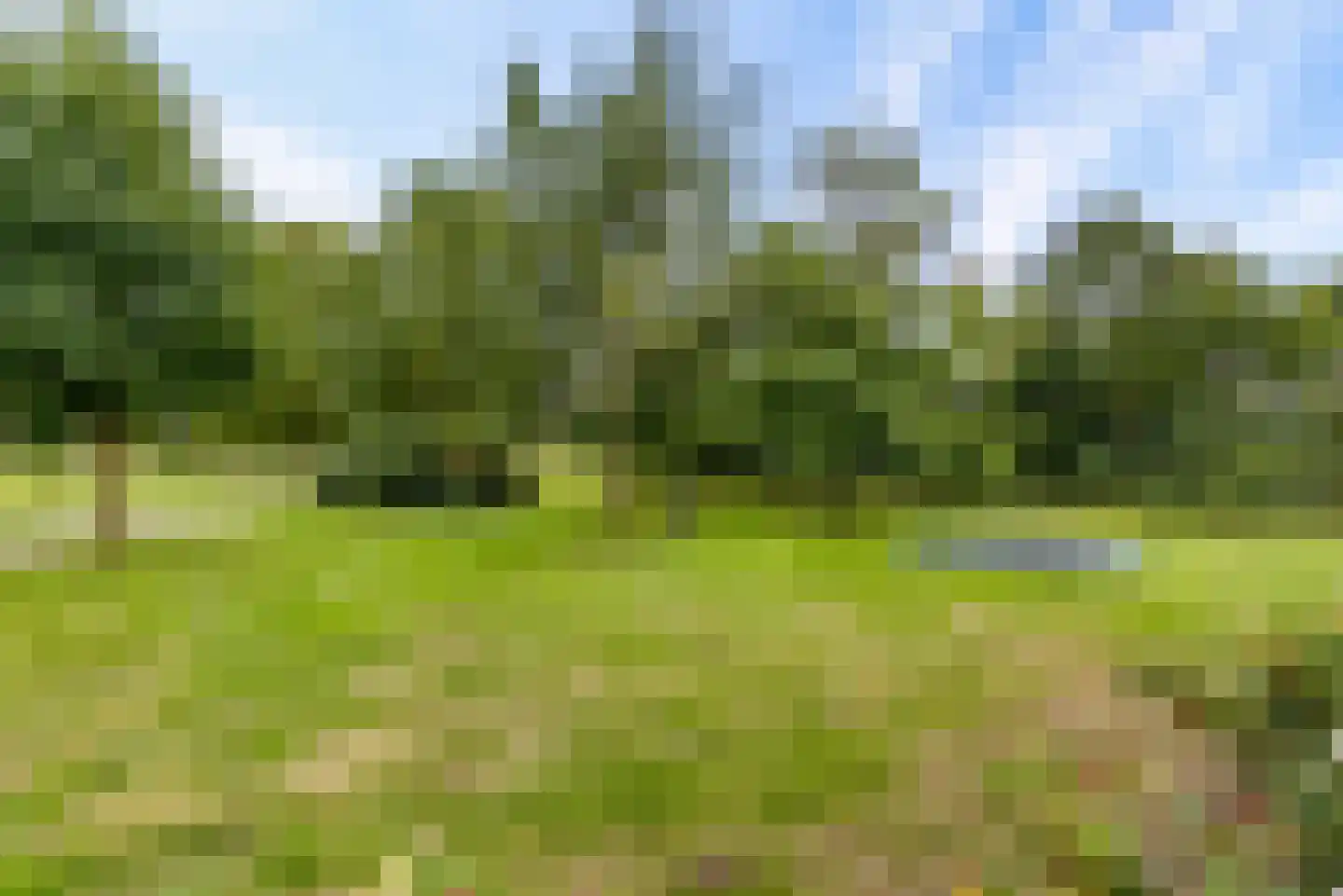 Bovenheigraaf 144 Wezep thumbnail 55