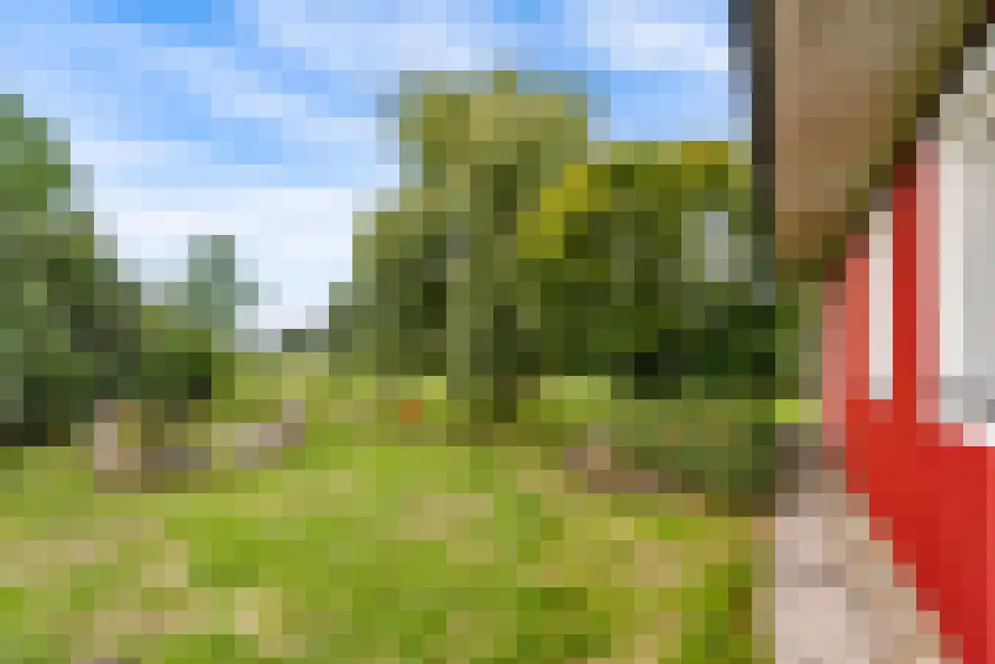 Bovenheigraaf 144 Wezep thumbnail 58