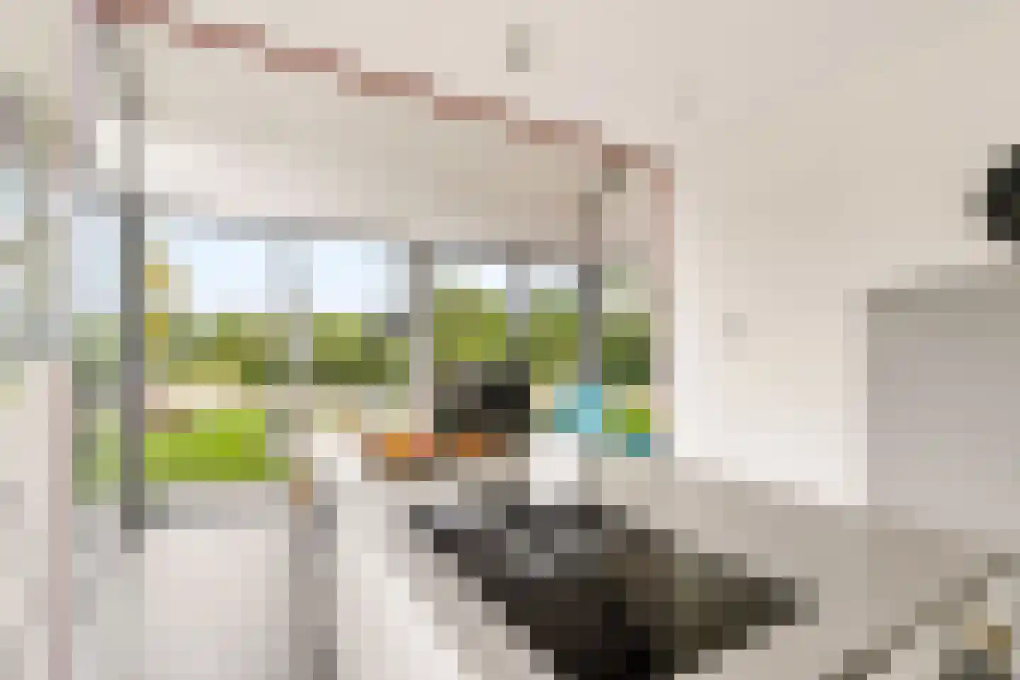 Bovenheigraaf 144 Wezep thumbnail 6