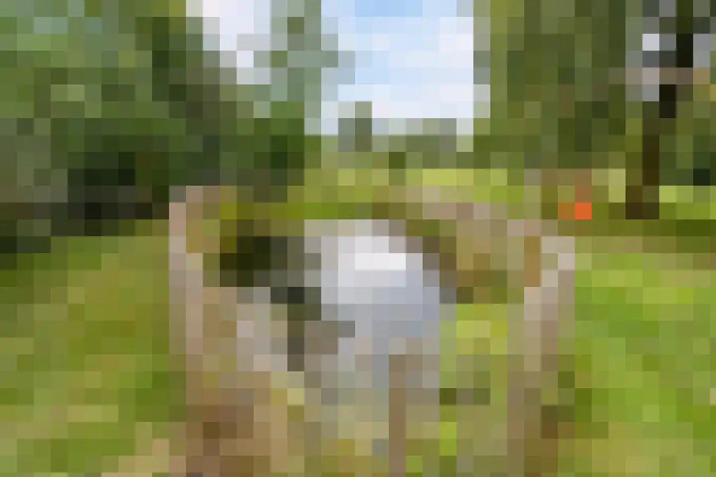 Bovenheigraaf 144 Wezep thumbnail 60