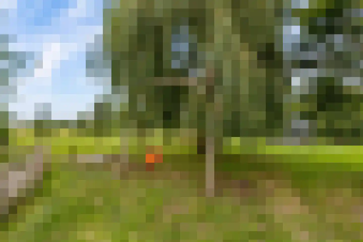 Bovenheigraaf 144 Wezep thumbnail 61