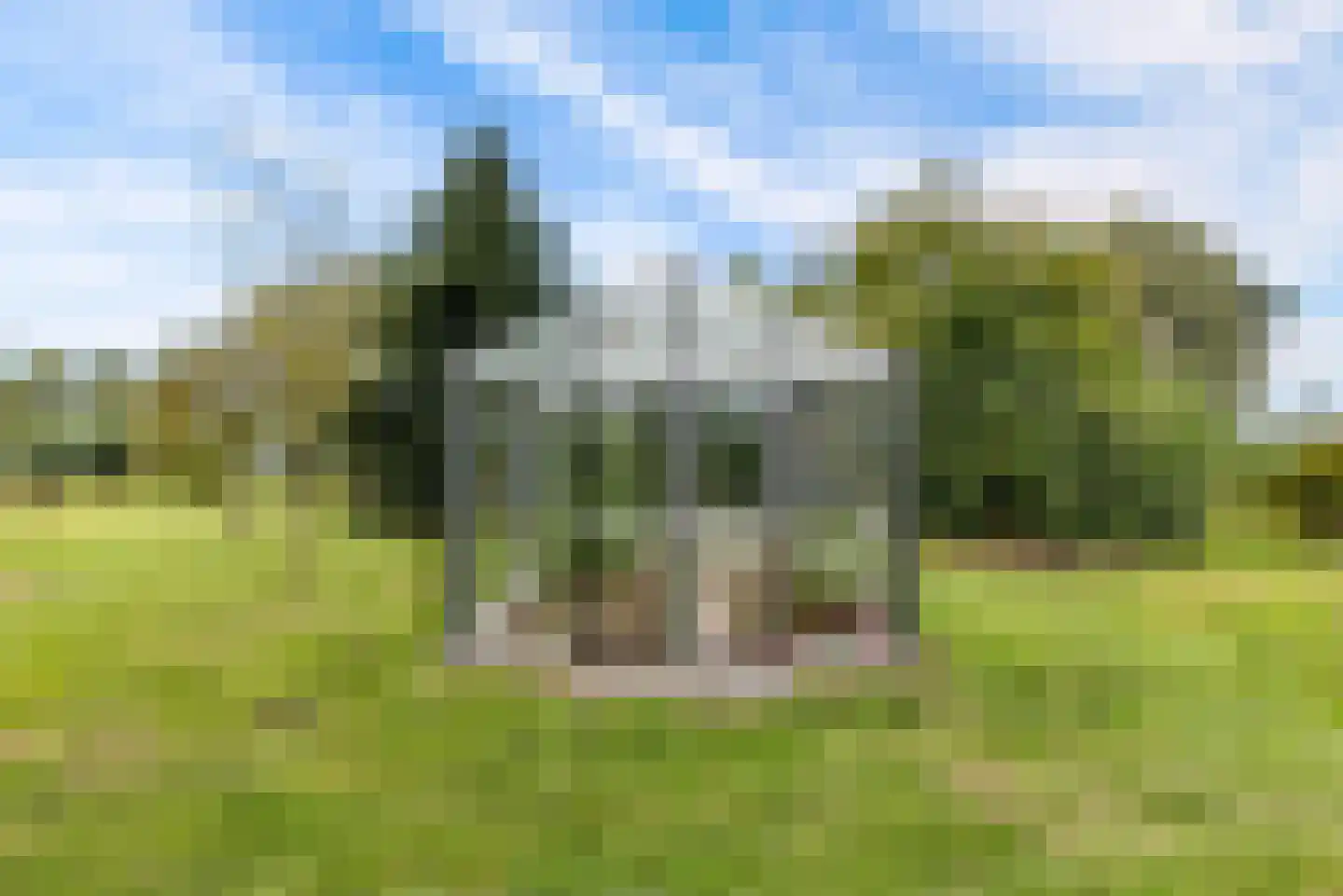 Bovenheigraaf 144 Wezep thumbnail 62