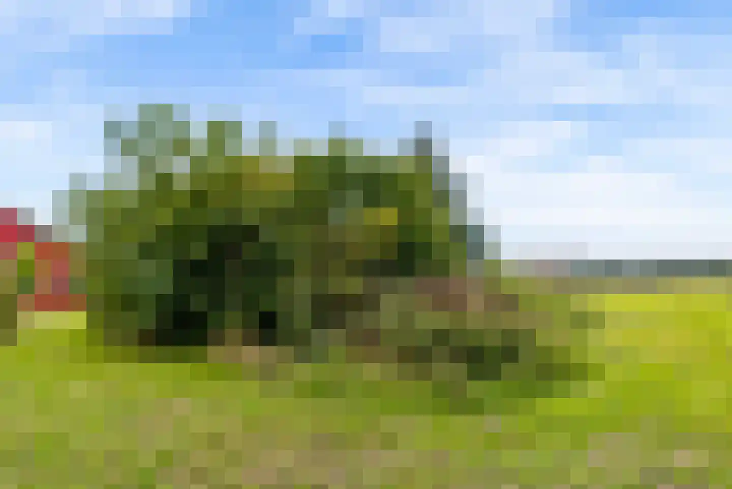 Bovenheigraaf 144 Wezep thumbnail 63