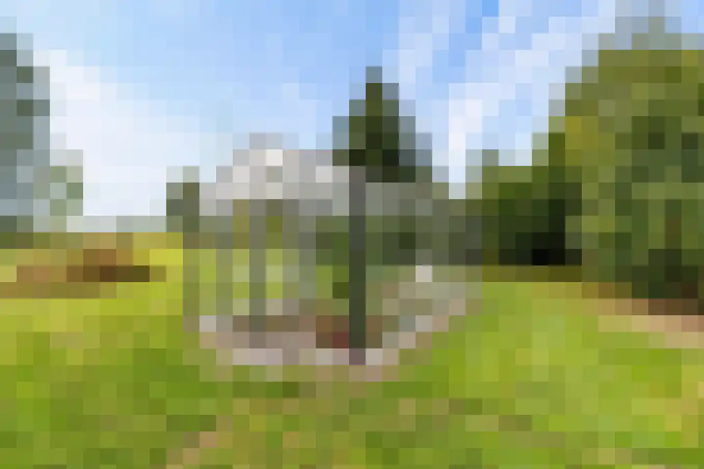 Bovenheigraaf 144 Wezep thumbnail 64