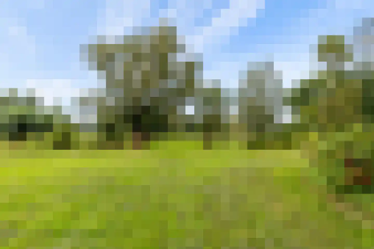 Bovenheigraaf 144 Wezep thumbnail 65