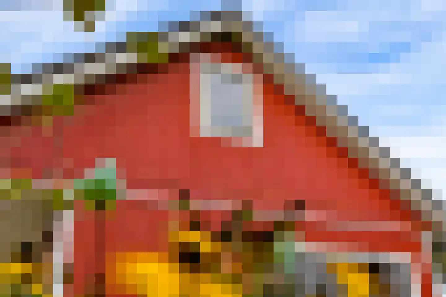 Bovenheigraaf 144 Wezep thumbnail 68