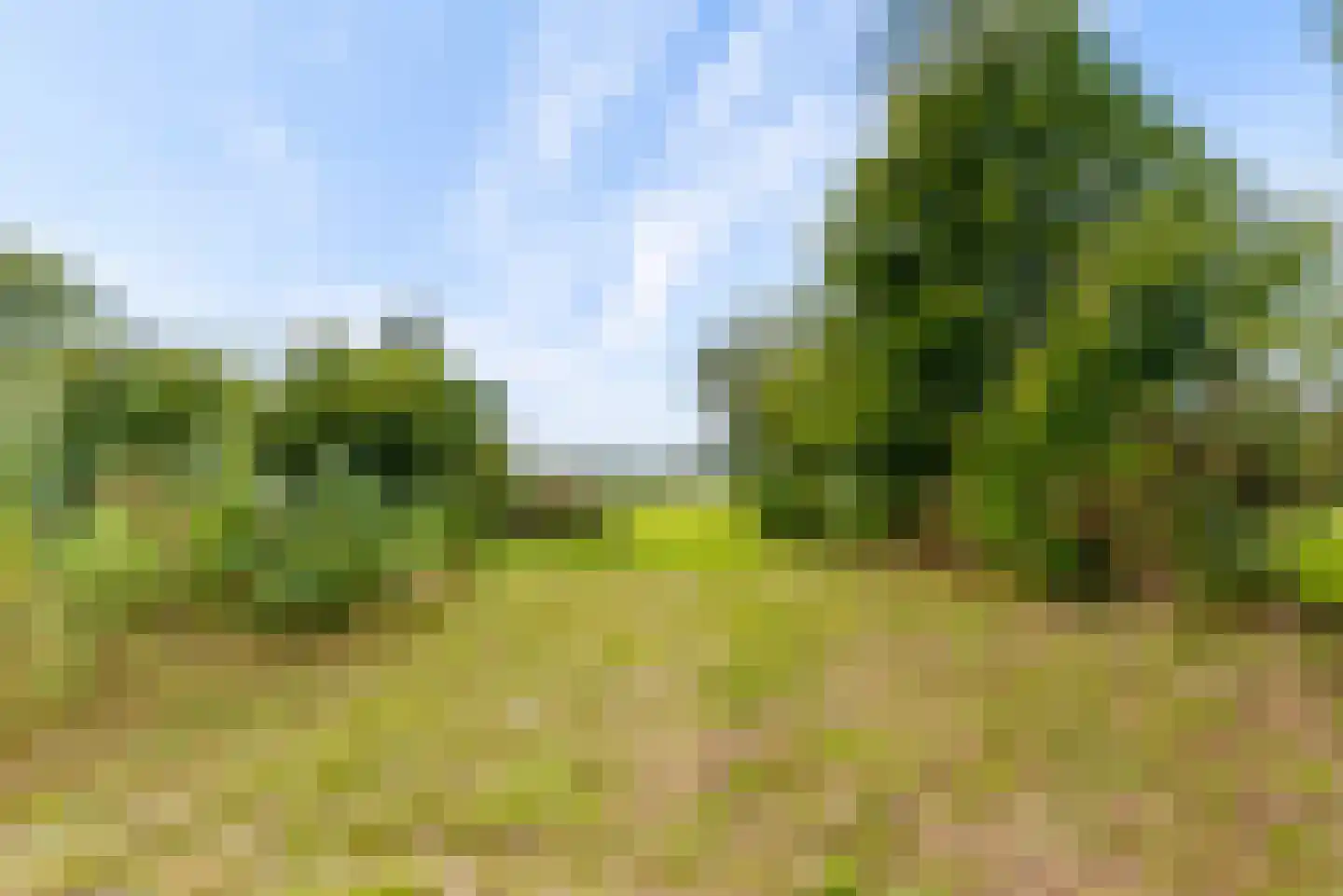 Bovenheigraaf 144 Wezep thumbnail 69