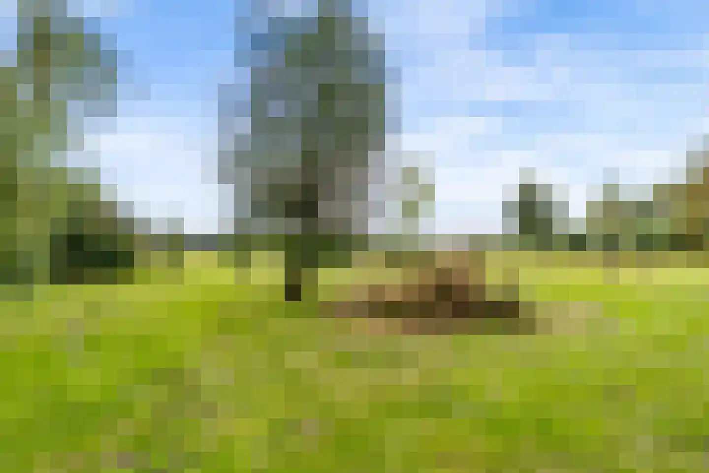 Bovenheigraaf 144 Wezep thumbnail 71