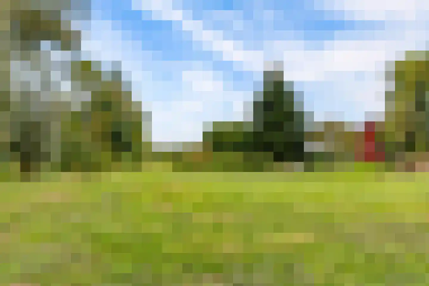 Bovenheigraaf 144 Wezep thumbnail 72