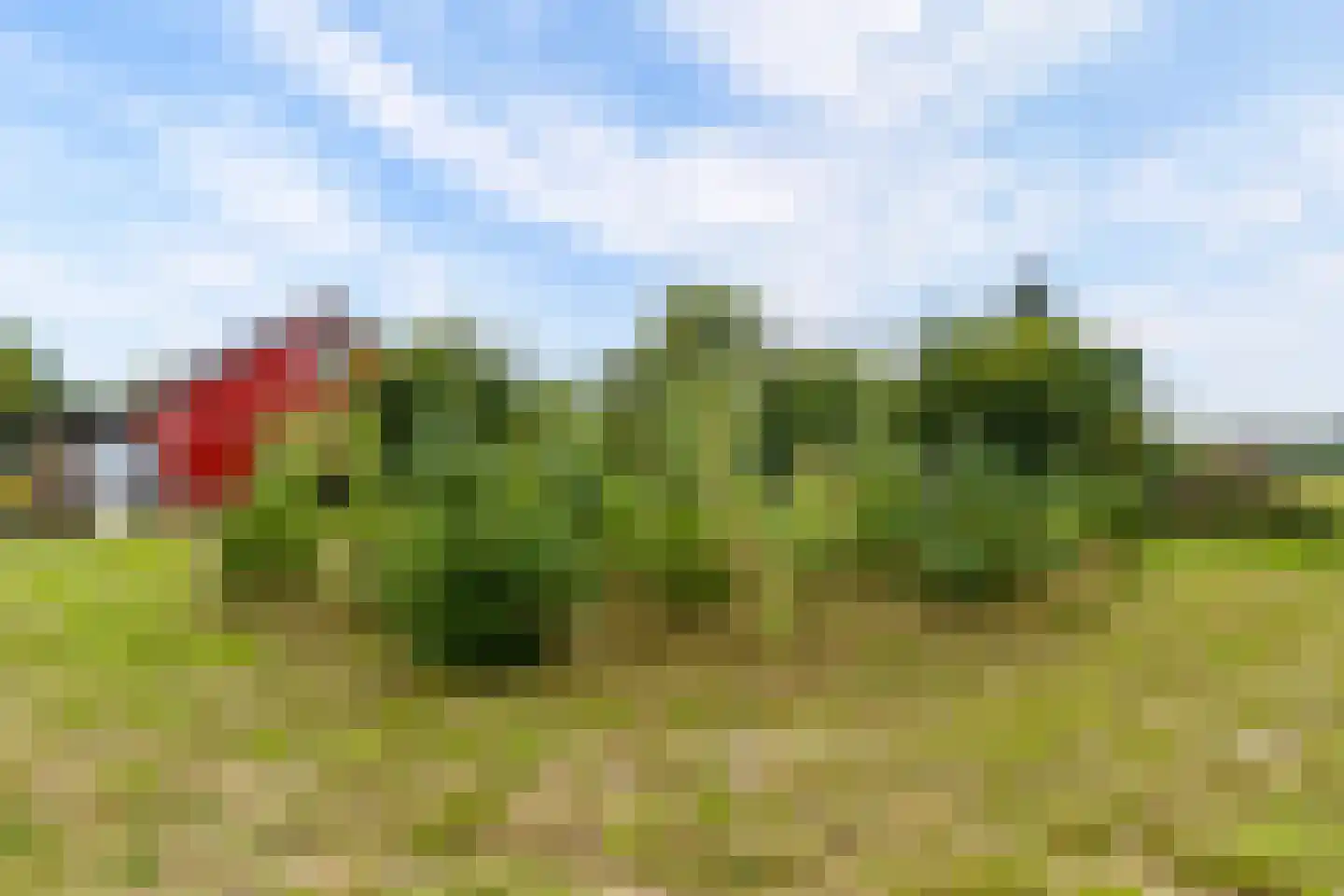 Bovenheigraaf 144 Wezep thumbnail 73