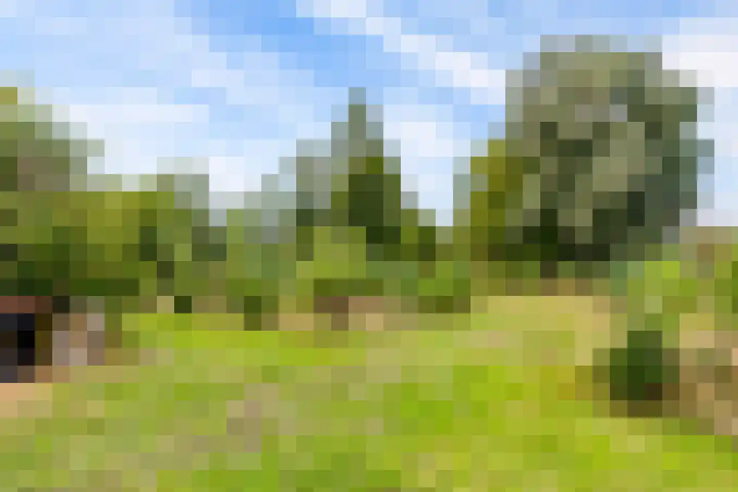 Bovenheigraaf 144 Wezep thumbnail 74