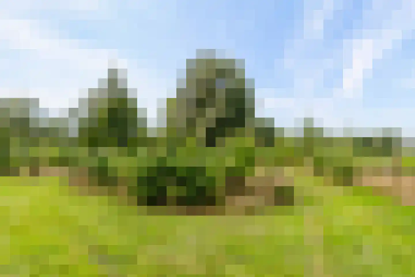 Bovenheigraaf 144 Wezep thumbnail 76