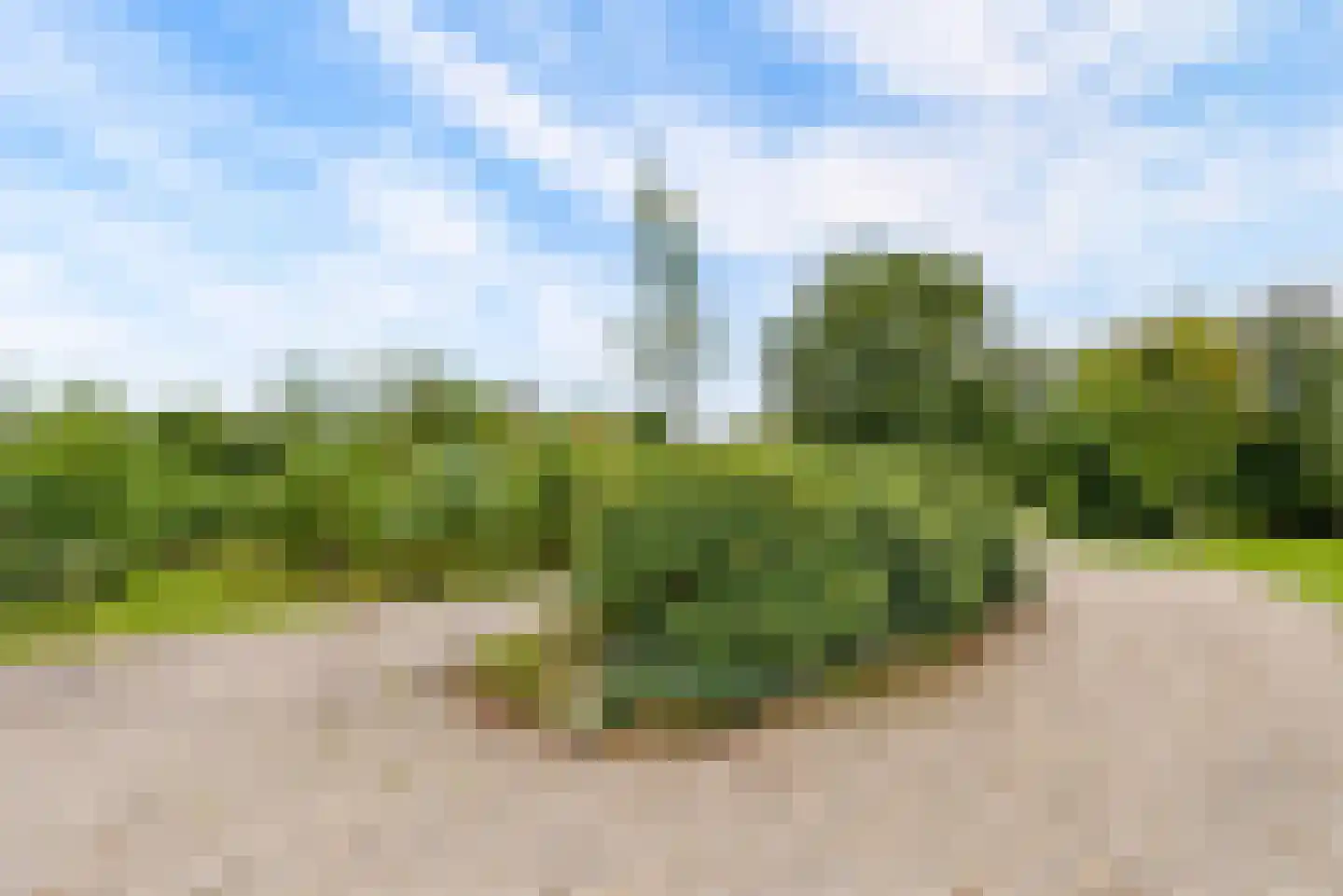 Bovenheigraaf 144 Wezep thumbnail 78