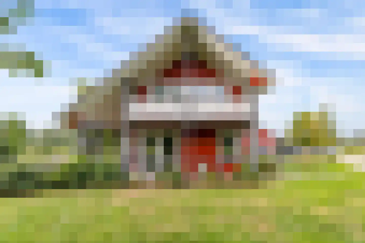 Bovenheigraaf 144 Wezep thumbnail 8