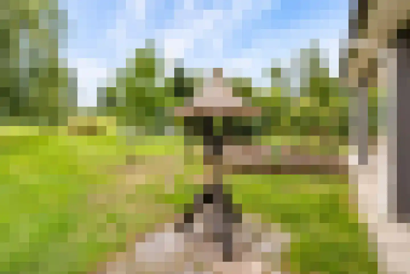 Bovenheigraaf 144 Wezep thumbnail 82