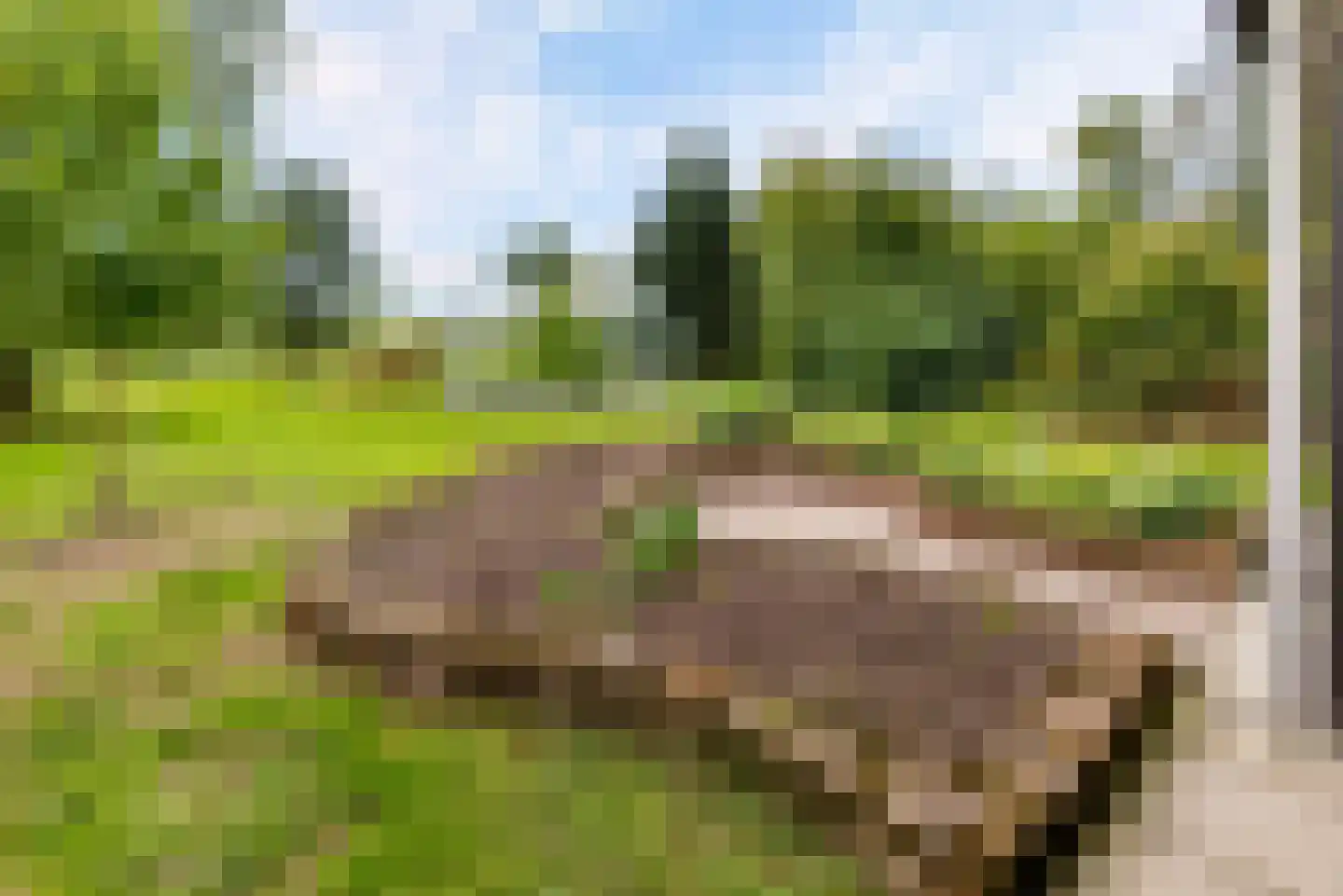 Bovenheigraaf 144 Wezep thumbnail 84